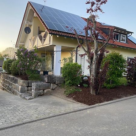 Ferienwohnung Messmer Mit Terrasse Heiligenborn Eksteriør billede