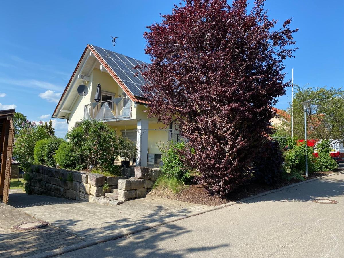 Ferienwohnung Messmer Mit Terrasse Heiligenborn Eksteriør billede